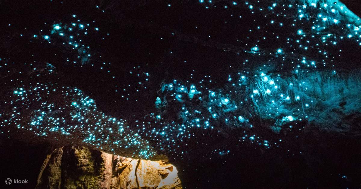 Hobbiton Movie Set And Waitomo Glow Worm Caves 2023 Rotorua